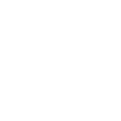 light logo